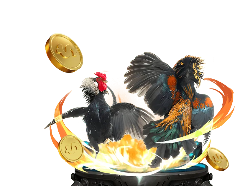 Dấu hiệu cảnh báo nhà cái lừa đảo