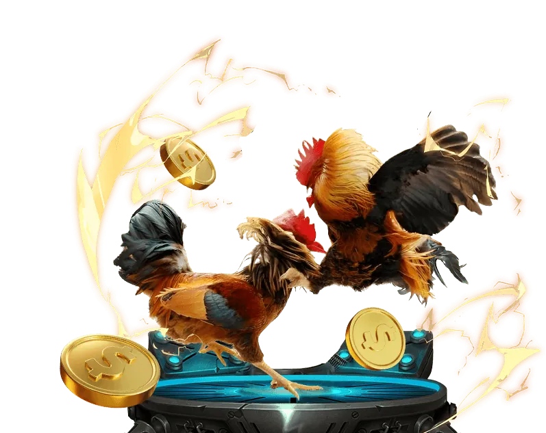 Chương trình khuyến mãi và ưu đãi